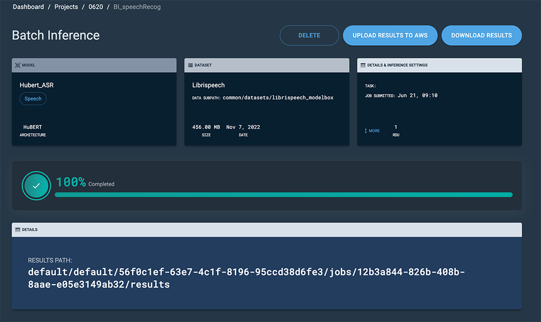 Batch inference detail window