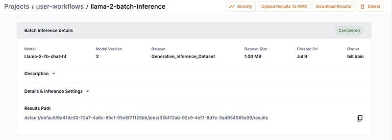 Batch inference detail window